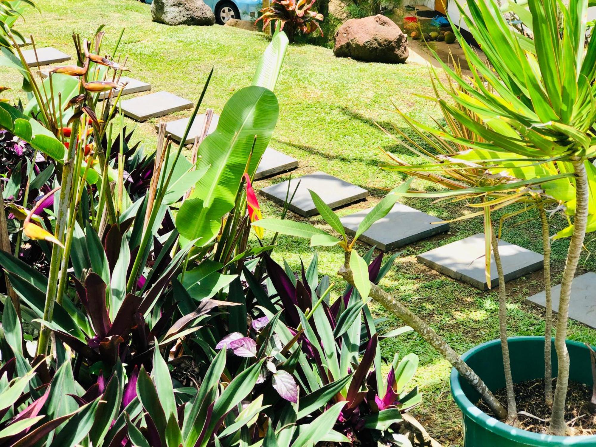 Muri Vista Villas Rarotonga Exterior photo